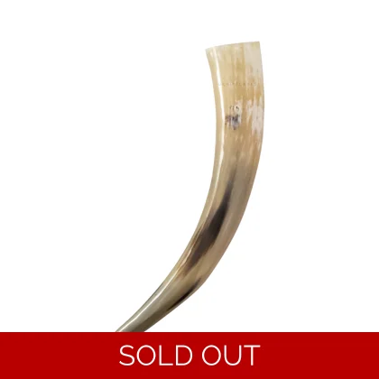 Drinking Horn (No Handle) - 300-350ml